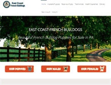 Tablet Screenshot of eastcoastfrenchbulldogs.com